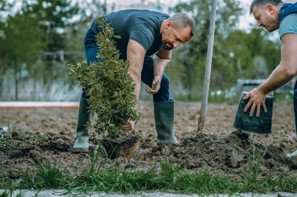 Landscape Design and Installation in Maine, WI